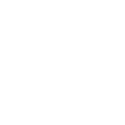 Googleマップアイコン